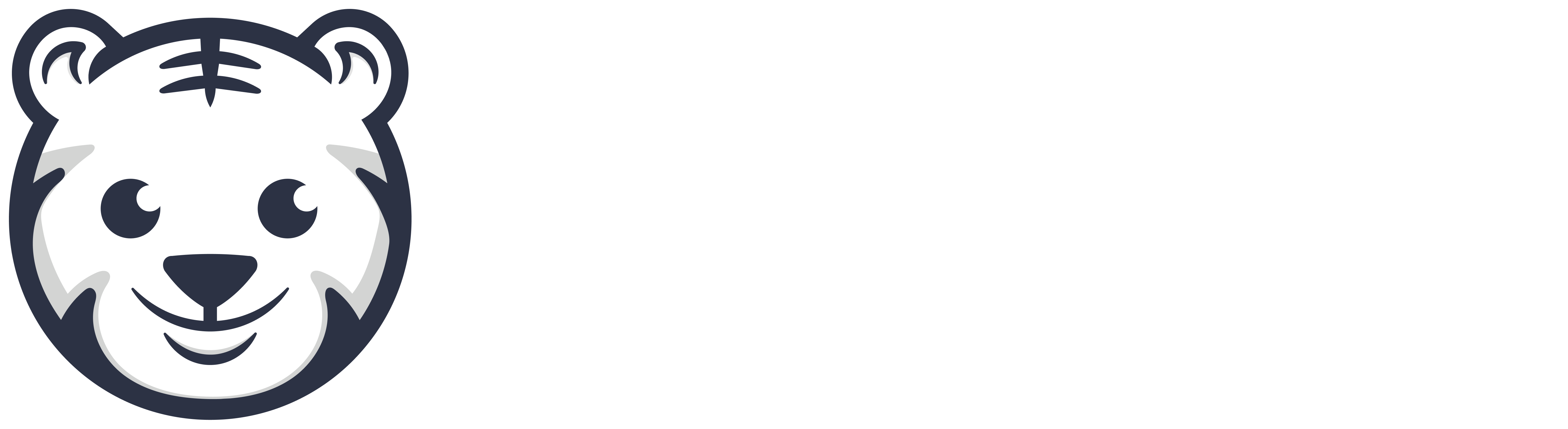 小脑斧导航